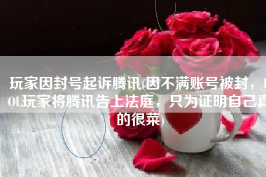 玩家因封号起诉腾讯(因不满账号被封，LOL玩家将腾讯告上法庭，只为证明自己真的很菜)