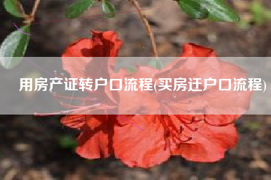 用房产证转户口流程(买房迁户口流程)