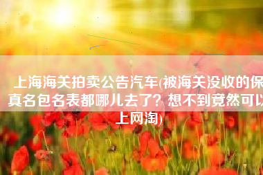 上海海关拍卖公告汽车(被海关没收的保真名包名表都哪儿去了？想不到竟然可以上网淘)