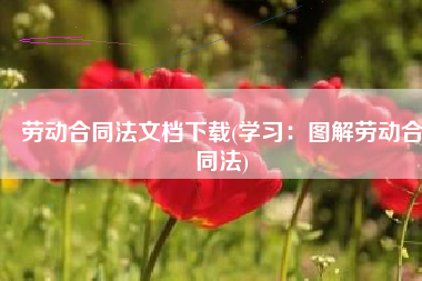 劳动合同法文档下载(学习：图解劳动合同法)