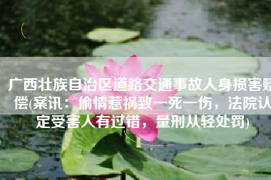 广西壮族自治区道路交通事故人身损害赔偿(案讯：偷情惹祸致一死一伤，法院认定受害人有过错，量刑从轻处罚)