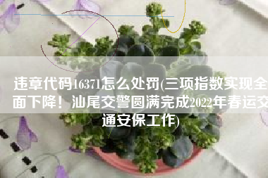 违章代码16371怎么处罚(三项指数实现全面下降！汕尾交警圆满完成2022年春运交通安保工作)