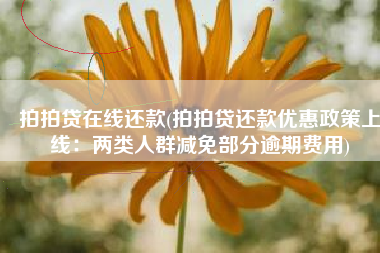 拍拍贷在线还款(拍拍贷还款优惠政策上线：两类人群减免部分逾期费用)