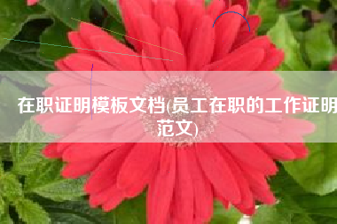 在职证明模板文档(员工在职的工作证明范文)