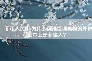 菲币人民币(为什么英语培训机构的外教基本上是菲律人？)