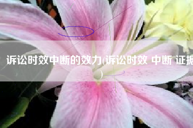 诉讼时效中断的效力(诉讼时效 中断 证据)