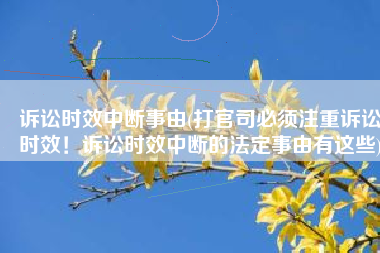 诉讼时效中断事由(打官司必须注重诉讼时效！诉讼时效中断的法定事由有这些)
