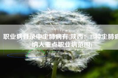 职业病目录中尘肺病有(陕西：13种尘肺病纳入重点职业病范围)
