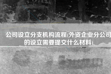 公司设立分支机构流程(外资企业分公司的设立需要提交什么材料)
