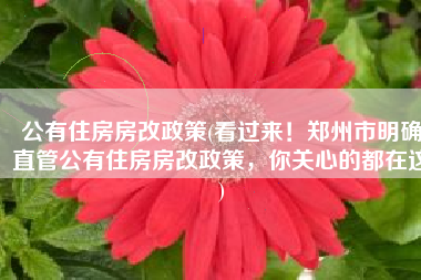 公有住房房改政策(看过来！郑州市明确直管公有住房房改政策，你关心的都在这)