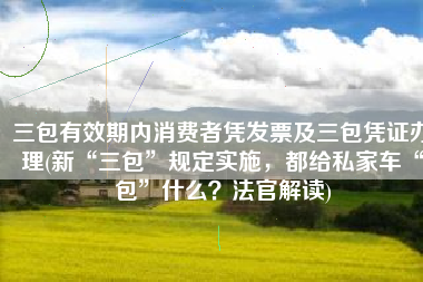 三包有效期内消费者凭发票及三包凭证办理(新“三包”规定实施，都给私家车“包”什么？法官解读)