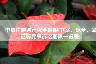 申请法院财产保全期限(立案、保全、举证等民事诉讼期限一览表)