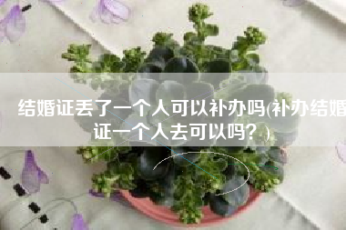 结婚证丢了一个人可以补办吗(补办结婚证一个人去可以吗？)