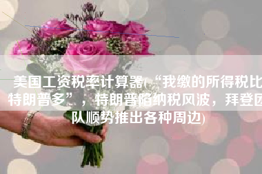 美国工资税率计算器(“我缴的所得税比特朗普多”，特朗普陷纳税风波，拜登团队顺势推出各种周边)