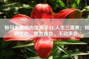 恒马金融国内优质平台(人生三境界：和颜悦色、察言观色、不动声色)