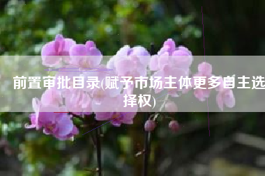前置审批目录(赋予市场主体更多自主选择权)
