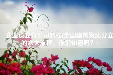 企业设立分公司流程(全国建筑资质分立的六大流程，你们知道吗？)
