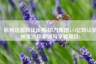 杭州店面转让出租(印力集团4.14亿转让杭州金沙印象城写字楼项目)