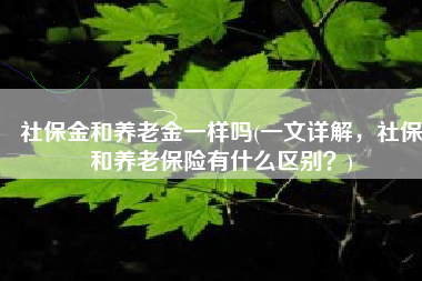 社保金和养老金一样吗(一文详解，社保和养老保险有什么区别？)
