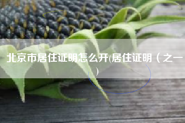 北京市居住证明怎么开(居住证明（之一）)