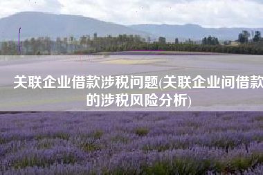 关联企业借款涉税问题(关联企业间借款的涉税风险分析)
