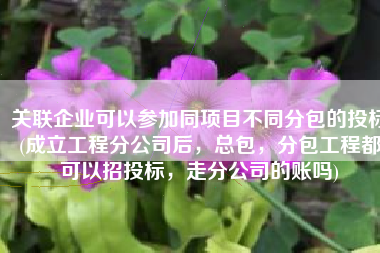 关联企业可以参加同项目不同分包的投标(成立工程分公司后，总包，分包工程都可以招投标，走分公司的账吗)