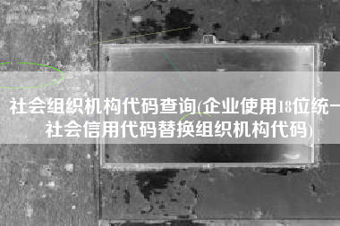 社会组织机构代码查询(企业使用18位统一社会信用代码替换组织机构代码)