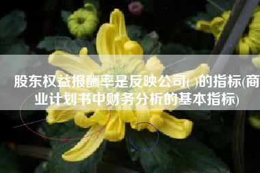 股东权益报酬率是反映公司( )的指标(商业计划书中财务分析的基本指标)