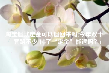 淘宝退款定金可以退回来吗(今年双十一套路不少 付了“定金”能退吗？)