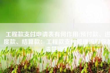 工程款支付申请表有何作用(预付款、进度款、结算款：工程款支付管理流程你都清楚吗？)