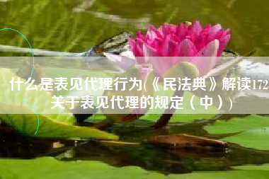 什么是表见代理行为(《民法典》解读172：关于表见代理的规定（中）)