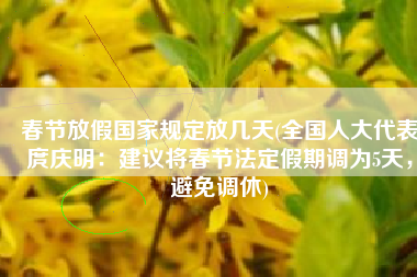 春节放假国家规定放几天(全国人大代表庹庆明：建议将春节法定假期调为5天，避免调休)