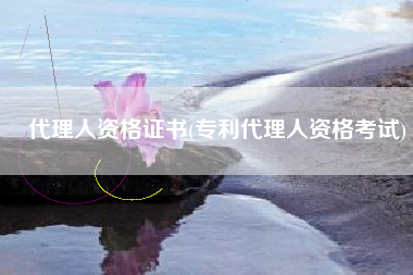 代理人资格证书(专利代理人资格考试)