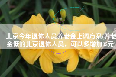 北京今年退休人员养老金上调方案(养老金低的北京退休人员，可以多增加35元)