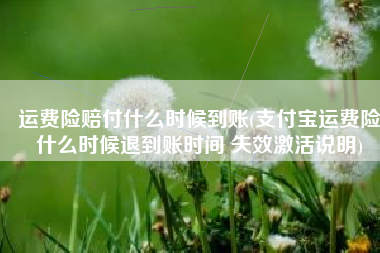 运费险赔付什么时候到账(支付宝运费险什么时候退到账时间 失效激活说明)