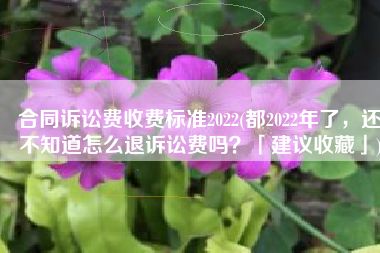 合同诉讼费收费标准2022(都2022年了，还不知道怎么退诉讼费吗？「建议收藏」)