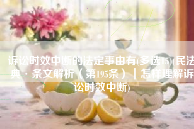 诉讼时效中断的法定事由有(多选15)(民法典·条文解析（第195条）｜怎样理解诉讼时效中断)