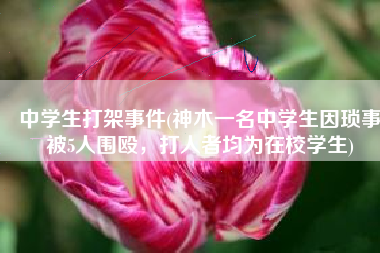 中学生打架事件(神木一名中学生因琐事被5人围殴，打人者均为在校学生)