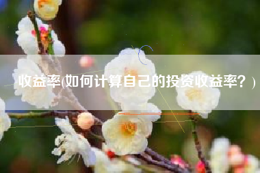 收益率(如何计算自己的投资收益率？)