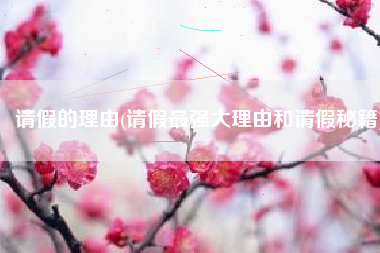 请假的理由(请假最强大理由和请假秘籍)