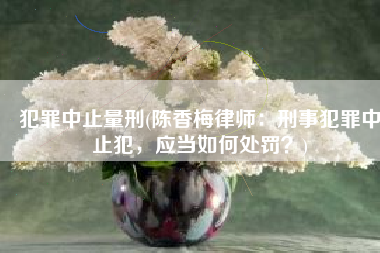 犯罪中止量刑(陈香梅律师：刑事犯罪中止犯，应当如何处罚？)