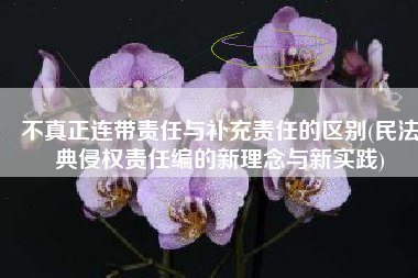 不真正连带责任与补充责任的区别(民法典侵权责任编的新理念与新实践)