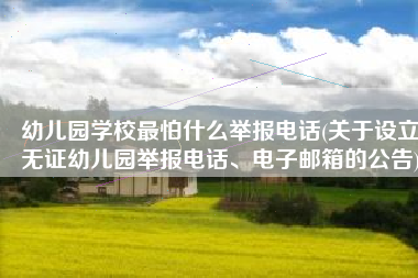 幼儿园学校最怕什么举报电话(关于设立无证幼儿园举报电话、电子邮箱的公告)