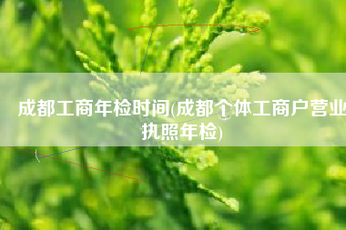 成都工商年检时间(成都个体工商户营业执照年检)
