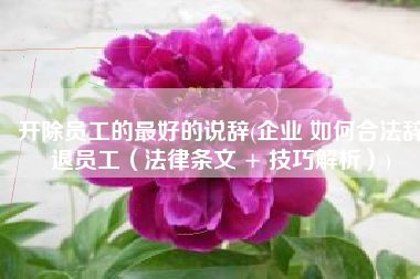 开除员工的最好的说辞(企业 如何合法辞退员工（法律条文 + 技巧解析）)