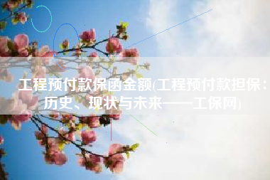 工程预付款保函金额(工程预付款担保：历史、现状与未来——工保网)