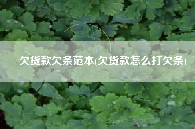 欠货款欠条范本(欠货款怎么打欠条)