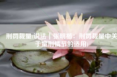 刑罚裁量(说法｜张明楷：刑罚裁量中关于量刑情节的适用)