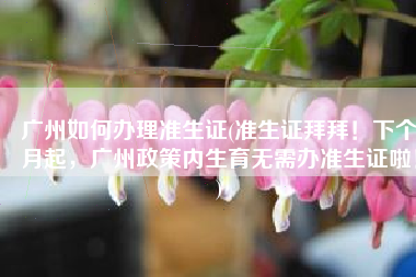 广州如何办理准生证(准生证拜拜！下个月起，广州政策内生育无需办准生证啦！)