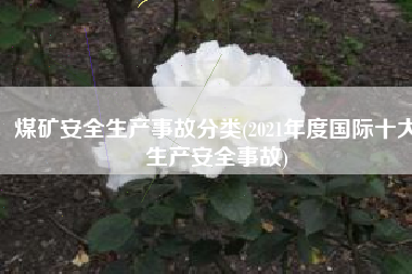 煤矿安全生产事故分类(2021年度国际十大生产安全事故)